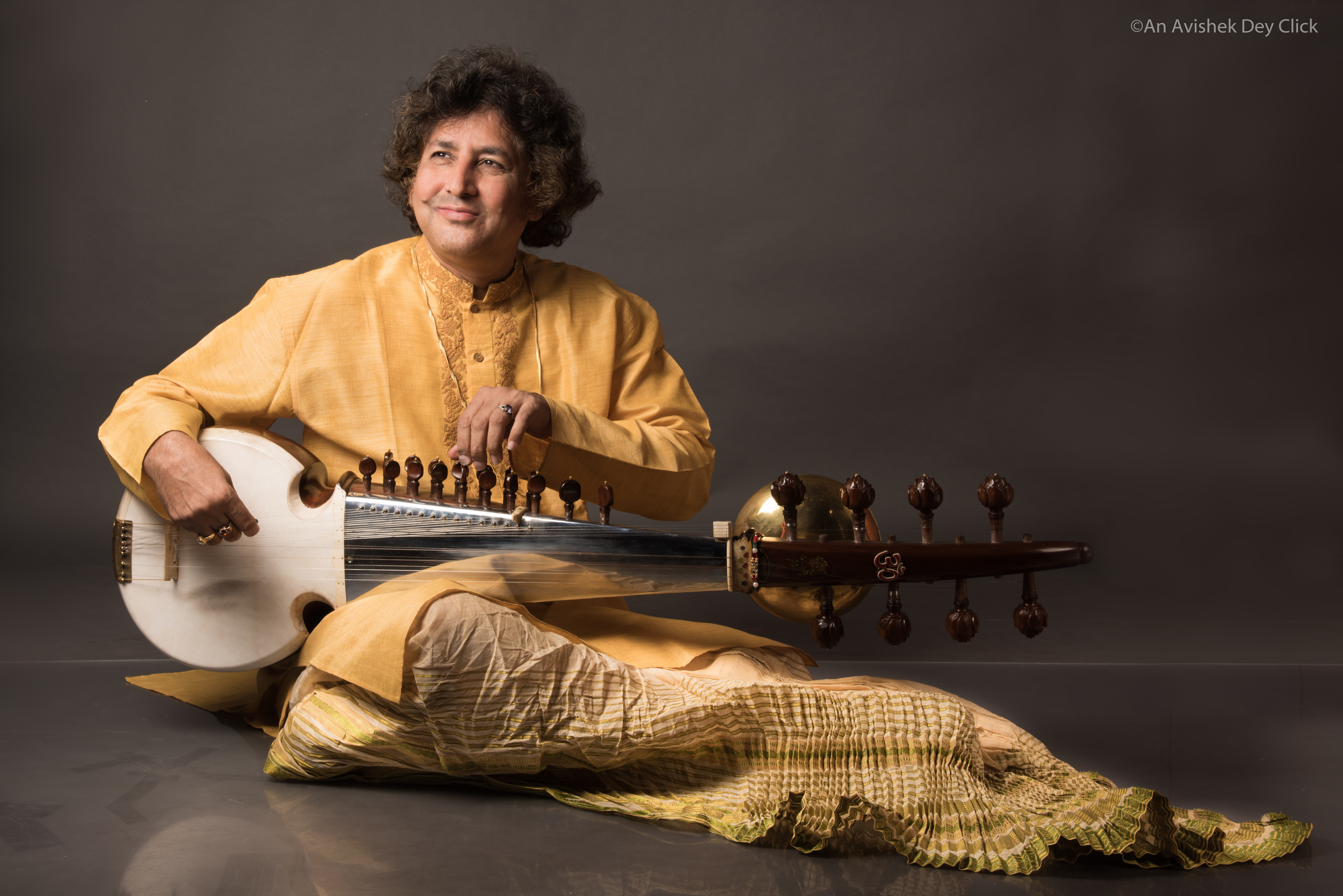 Partho Sarathy
